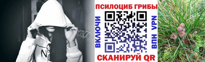 Псилоцибиновые грибы Cubensis  Клинцы 